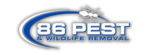 Logo for "86 Pest & Wildlife Removal" features bold white and blue text on a black background, with a stylized white ant graphic above the words.
