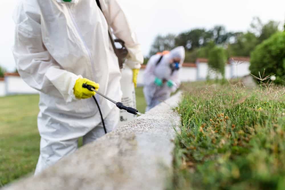 Two people wearing white hazmat suits and yellow gloves use spray equipment to apply chemicals on a stone surface in an outdoor area with grass and trees. One is in the foreground focusing on spraying, while the other is in the background.