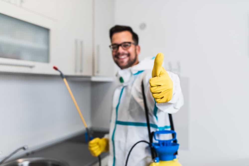 A person wearing safety glasses, gloves, and a protective suit gives a thumbs-up while holding pest control equipment in a modern kitchen. The individual is smiling and appears to be in the middle of a pest control procedure.