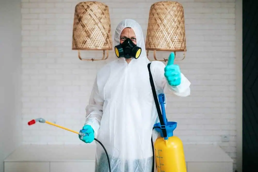 A person in full protective gear, including a white suit, gloves, and a gas mask, is holding pest control equipment and giving a thumbs-up. Two woven lampshades hang on the wall behind them.