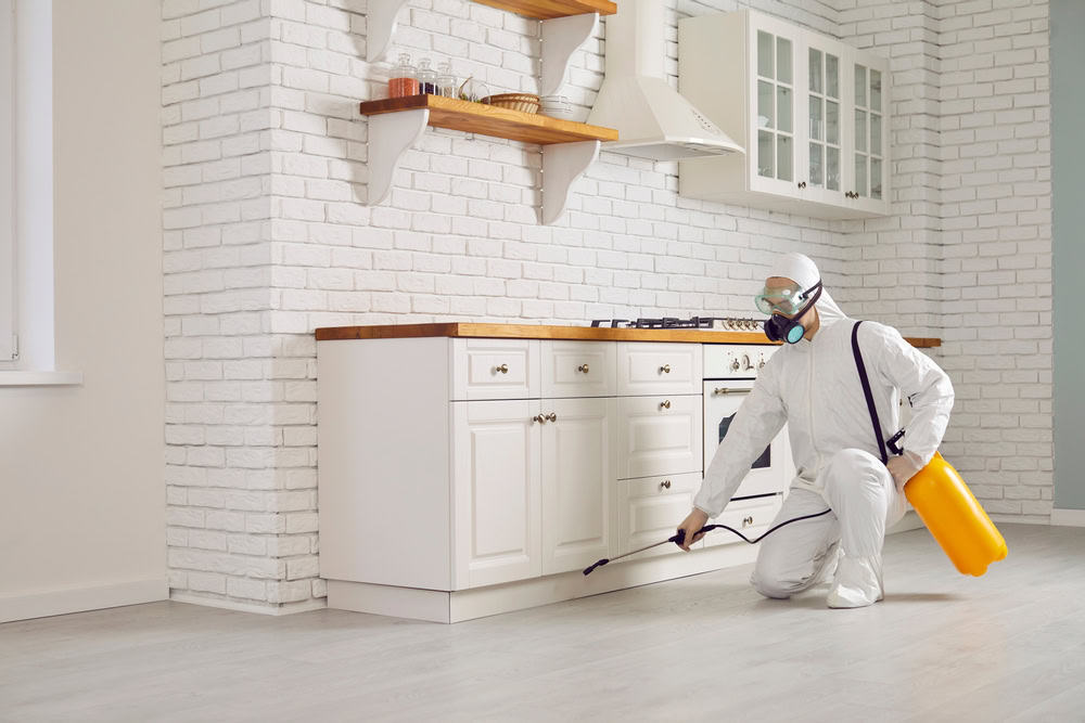 A person in protective gear, including a white suit, gloves, mask, and safety glasses, is kneeling on the floor of a modern white kitchen. They are using a sprayer to treat the area under the cabinets, presumably for pest control or disinfecting purposes.