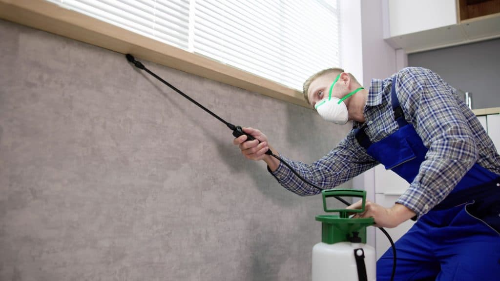 A person wearing a face mask and blue overalls uses a sprayer to treat a wall. They are holding a tank with a hose, working under a window with closed blinds. The setting appears to be indoors.