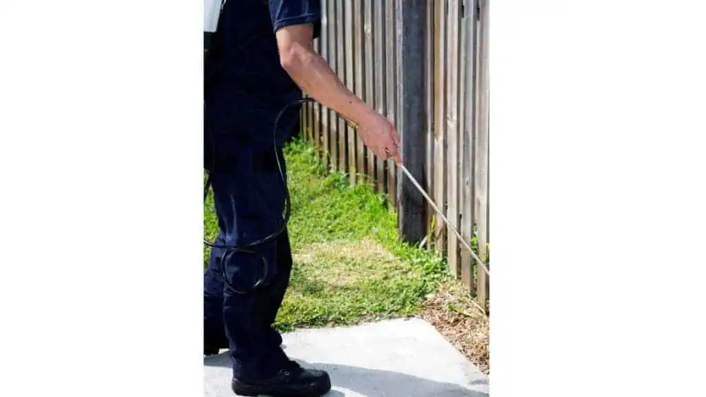 A person in dark clothing is spraying pesticides along the edge of a grass lawn next to a wooden fence. They are using a handheld sprayer attached to a tank on their back.