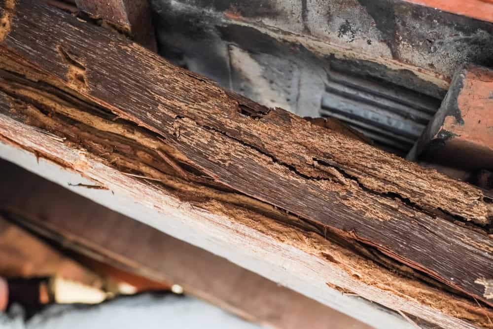 Close-up of severely damaged wood beam with visible decay and splintering, likely due to rot or termite damage. The texture shows deep grooves and a rough surface, highlighting the extent of deterioration. Behind it is part of a metal or concrete structure.